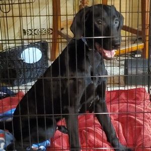 Meet your Posher, Deb